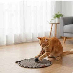 Durable Cat Scratcher Mat for Happy Cats & Protected Furniture - Shop Friq