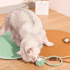 Durable Cat Scratcher Mat for Happy Cats & Protected Furniture - Shop Friq