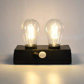 Solar Double Led Bulb Lamp Yt-819- 2w (1 Pc) - Shop Friq