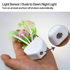 239 Night Light Mushroom Lamp (Colorful) - Shop Friq
